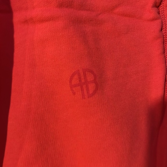 Anine Bing Tyler sweatpants - Picture 2 of 3